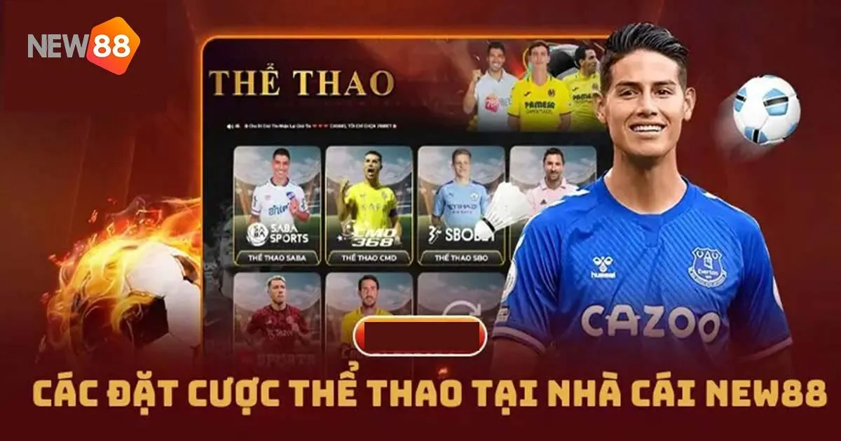 Tổng hợp các loại kèo cược hấp dẫn tại thể thao New88