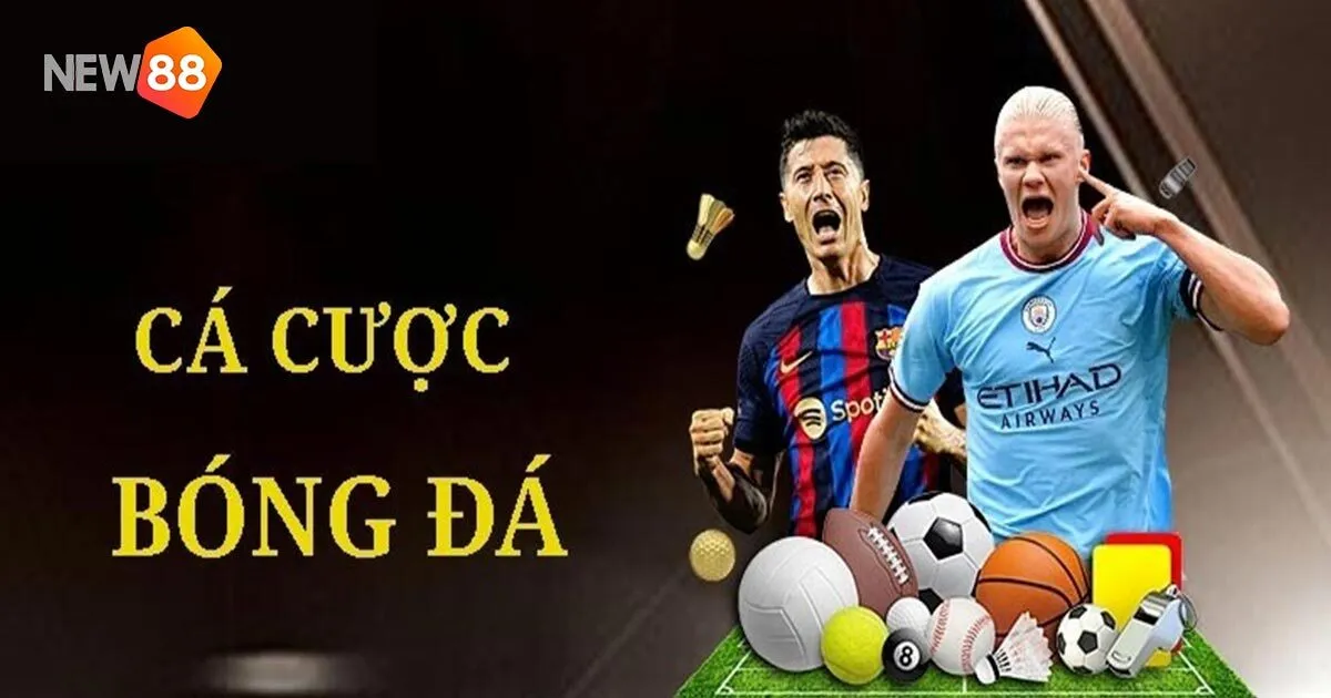 Các bộ môn thể thao đáng chú ý tại New88