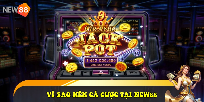 Vì sao nên cá cược tại NEW88